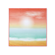 Window Cloth