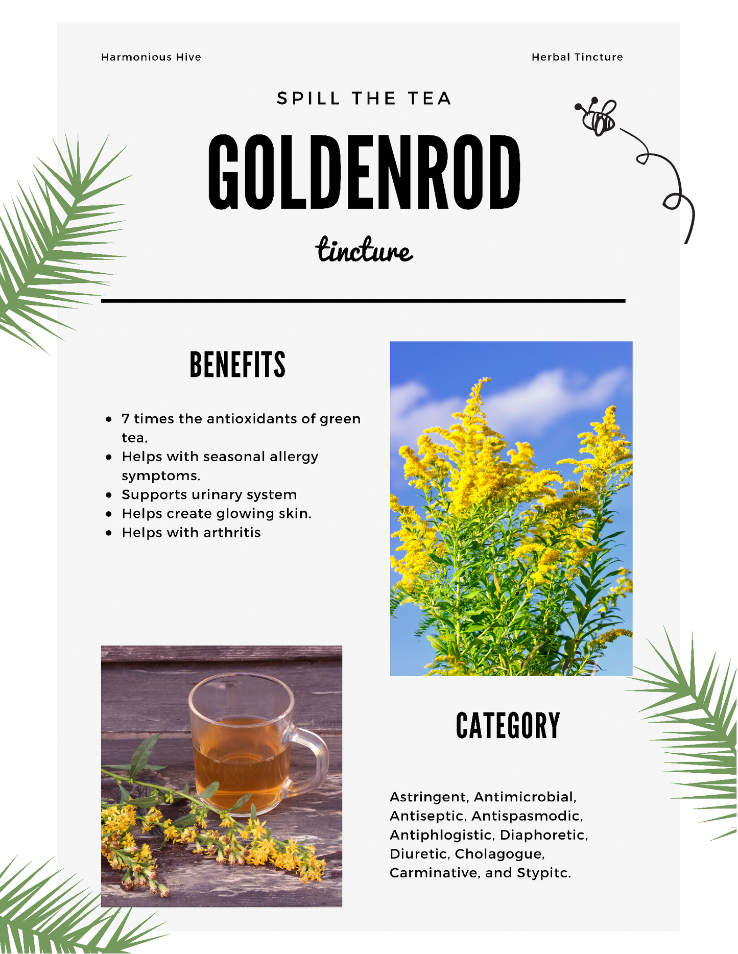 Goldenrod Herbal Tincture