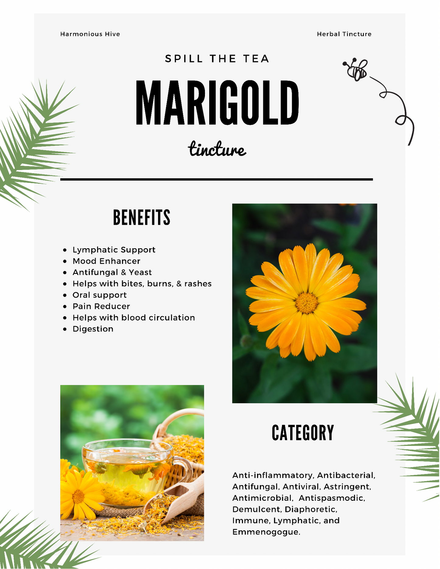 Calendula (Marigold) Herbal Tincture