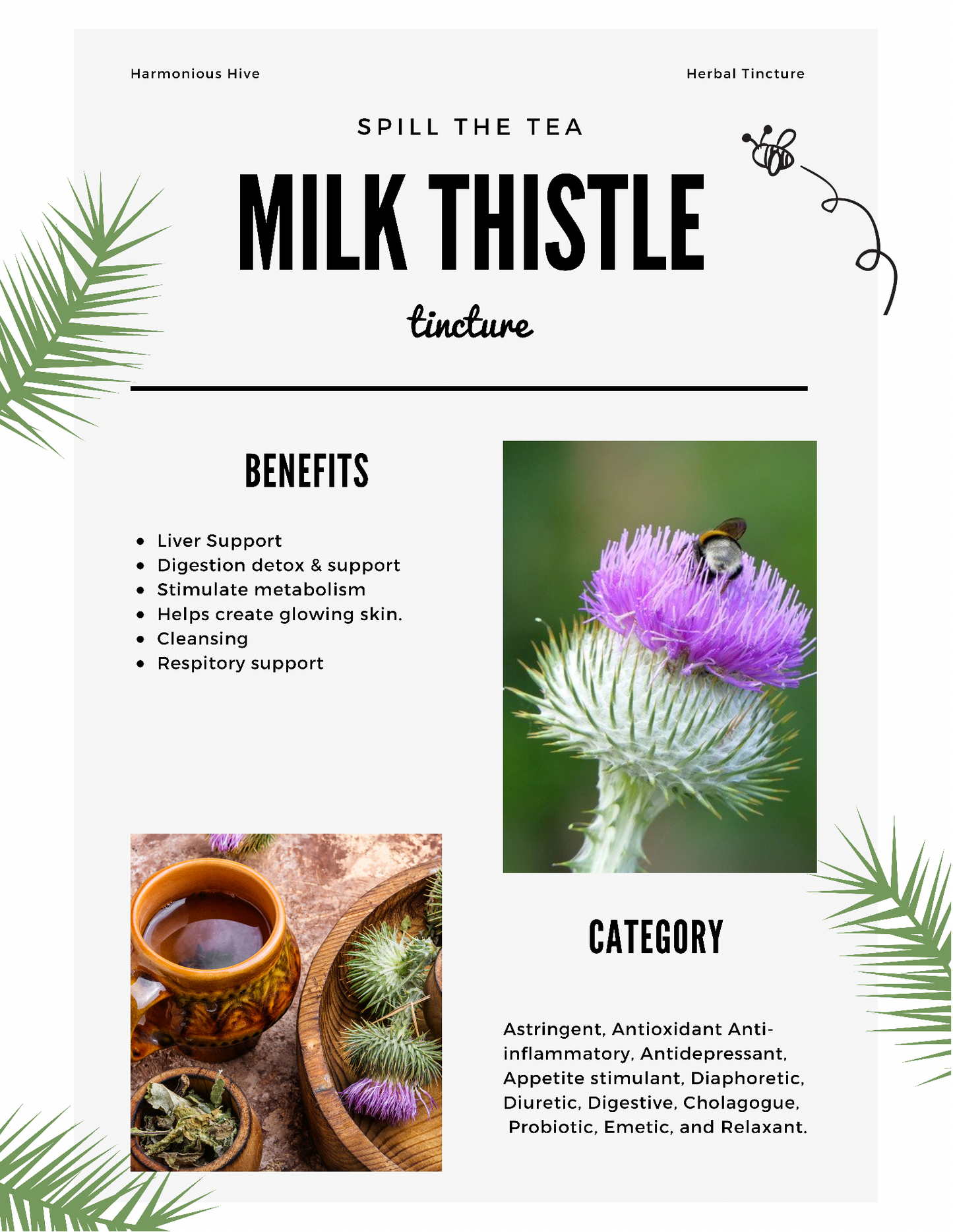 Milk Thistle Herbal Tincture