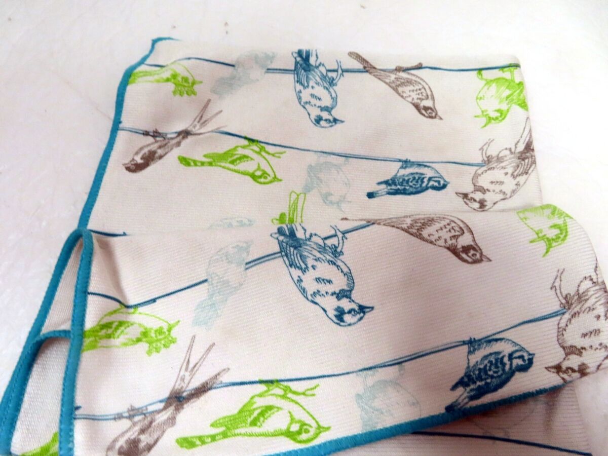 Window Cloth