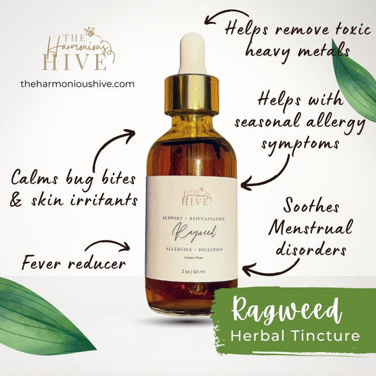 Ragweed Herbal Tincture